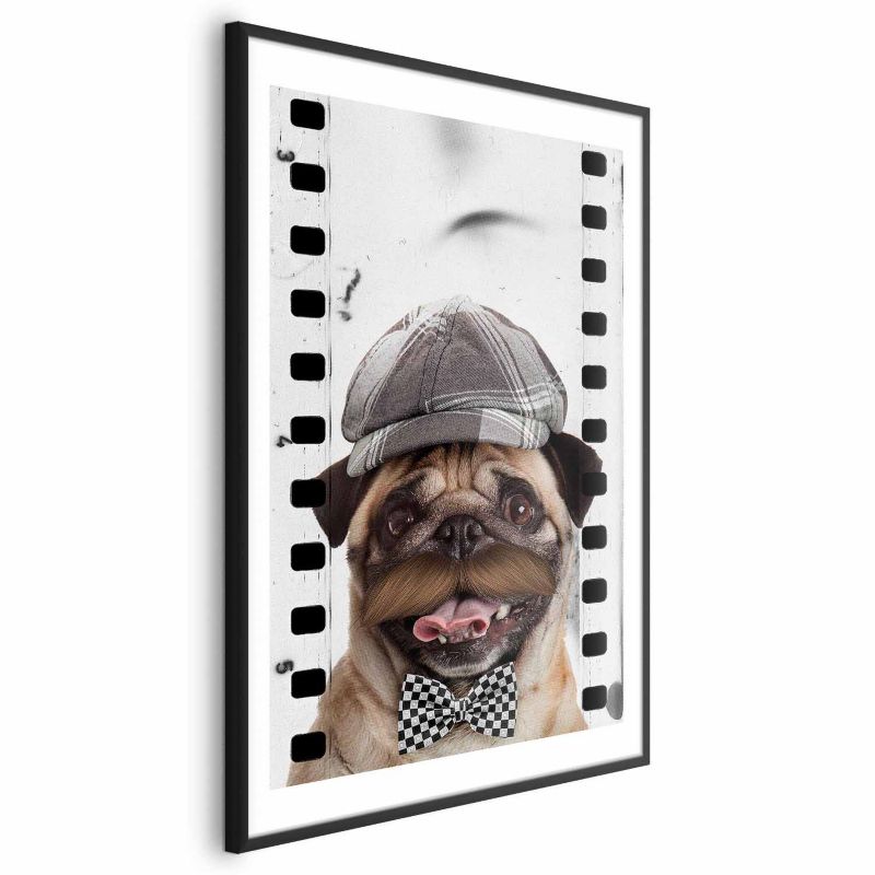 Plakat Artgeist Mops w czapce 21x30 cm z ramą czarną 1 szt