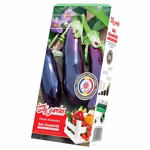 1 szt, Zestaw nasion Bakłażana Alexandra - Nasiona: Ilość w opakowaniu: 1 opak