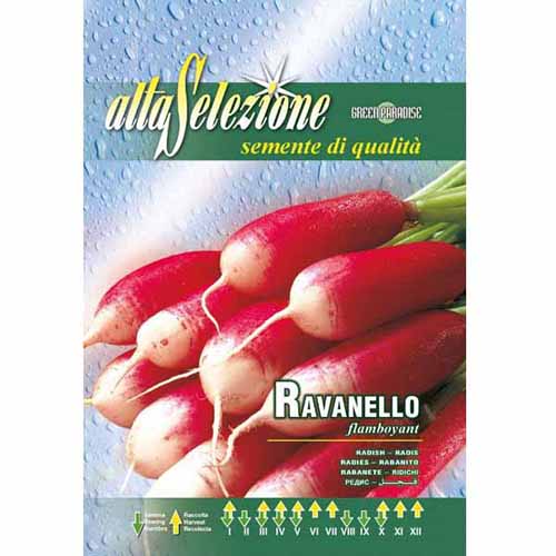 1 szt, Rzodkiewka Flamboyant Morami - Nasiona: Ilość w opakowaniu: 12 g