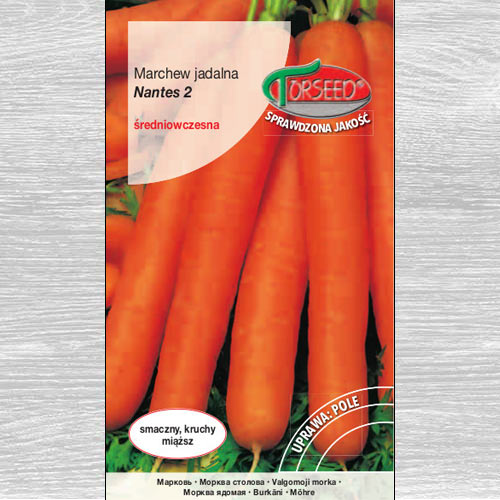1 szt, Marchew jadalna Nantes 2 - Nasiona: Ilość w opakowaniu: 5 g