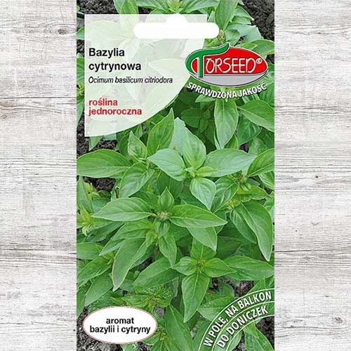 1 szt, Bazylia cytrynowa, nasiona - Nasiona: Ilość w opakowaniu: 0.1 g