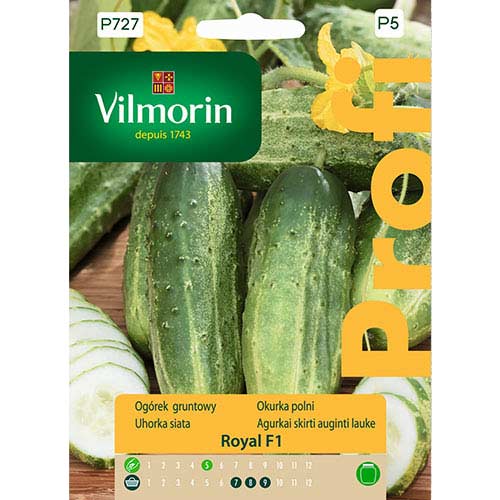 1 szt, Ogórek gruntowy Royal F1 Vilmorin - Nasiona: Ilość w opakowaniu: 2 g