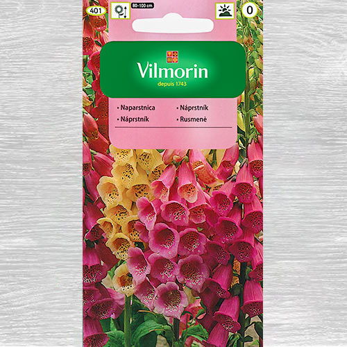 1 szt, Naparstnica Foxy, mieszanka - Nasiona: Ilość w opakowaniu: 1 g