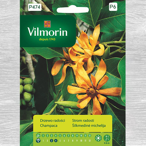 1 szt, Drzewo radości (Michelia champaca) - Nasiona: Ilość w opakowaniu: 15 szt