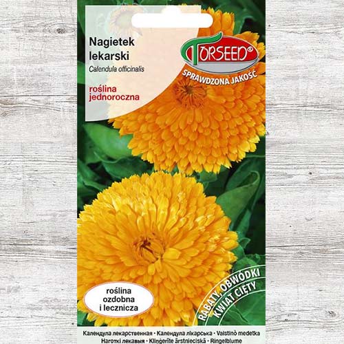 1 szt, Nasiona Nagietek lekarski - Nasiona: Ilość w opakowaniu: 3 g