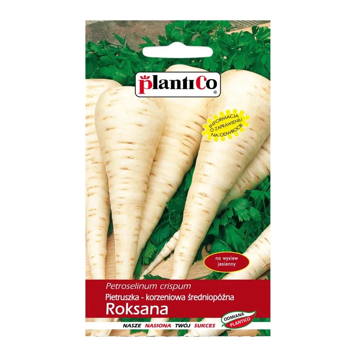 Pietruszka korzeniowa Roksana
