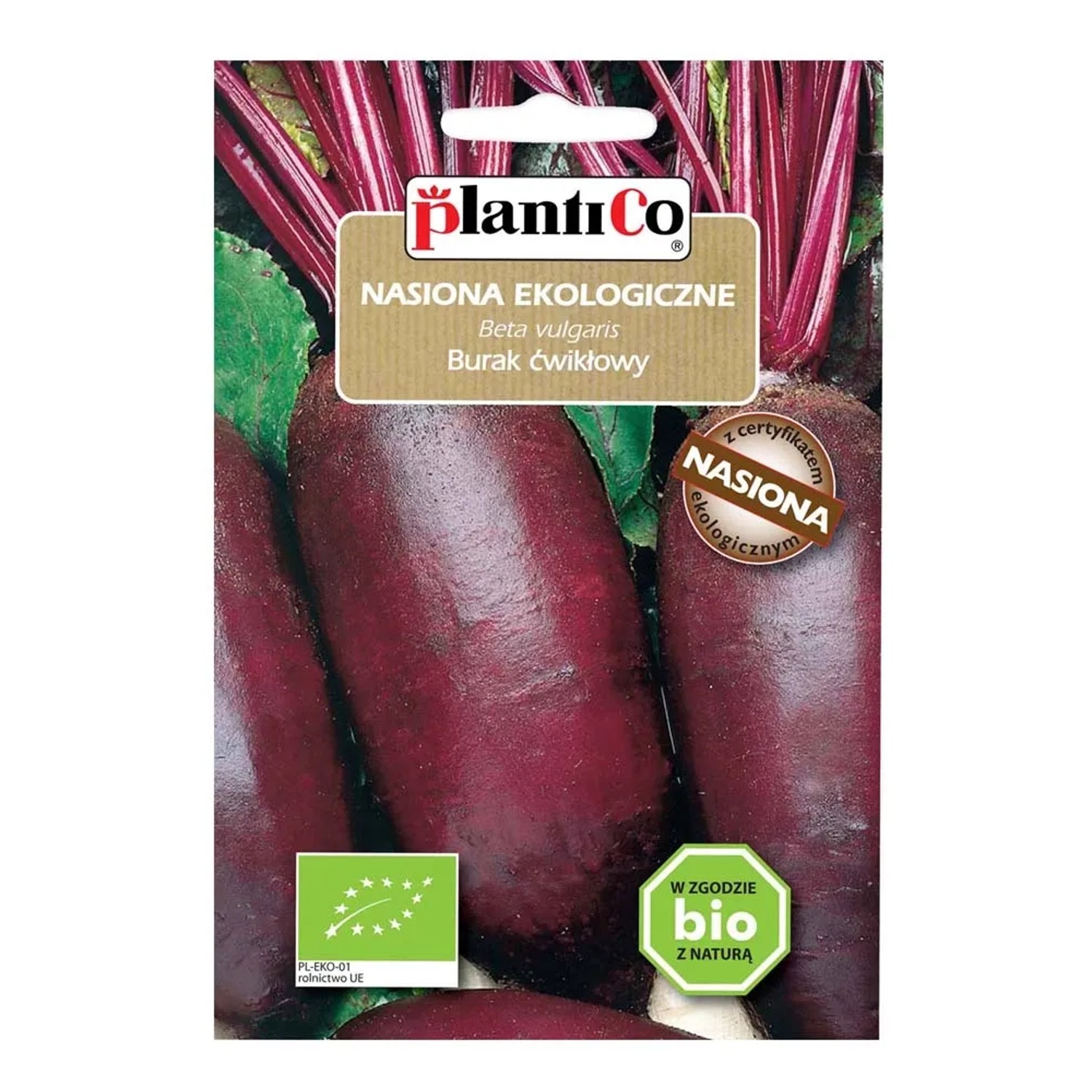 Burak podłużny BIO