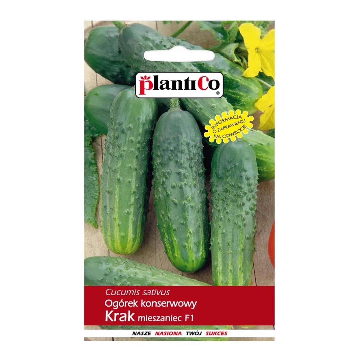 Ogórek gruntowy Krak - 5 g