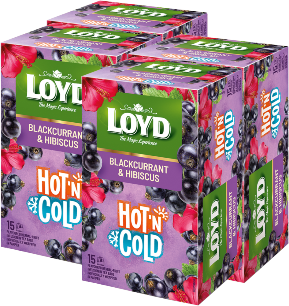 4x Herbata owocowo- ziołowa w kopertach Loyd Hot & Cold, porzeczka i hibiskus, 15 sztuk x 2g