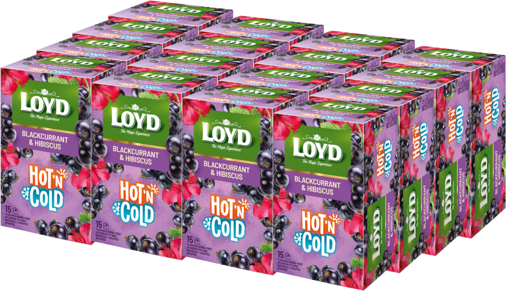 16x Herbata owocowo- ziołowa w kopertach Loyd Hot & Cold, porzeczka i hibiskus, 15 sztuk x 2g