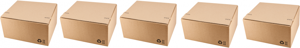 5x karton Sendbox F703, 310x230x160mm, brązowy