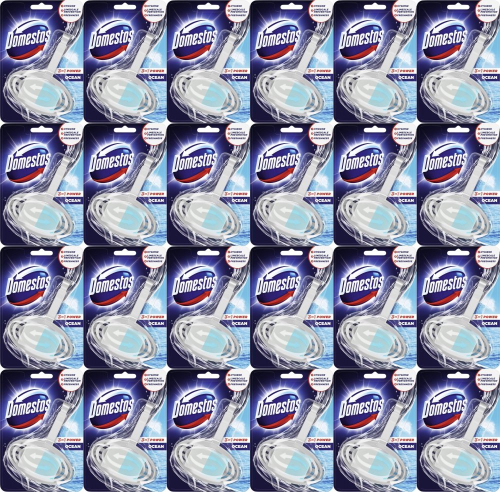 24x Kostka do WC z koszyczkiem Domestos, 3w1, Atlantic, 35g