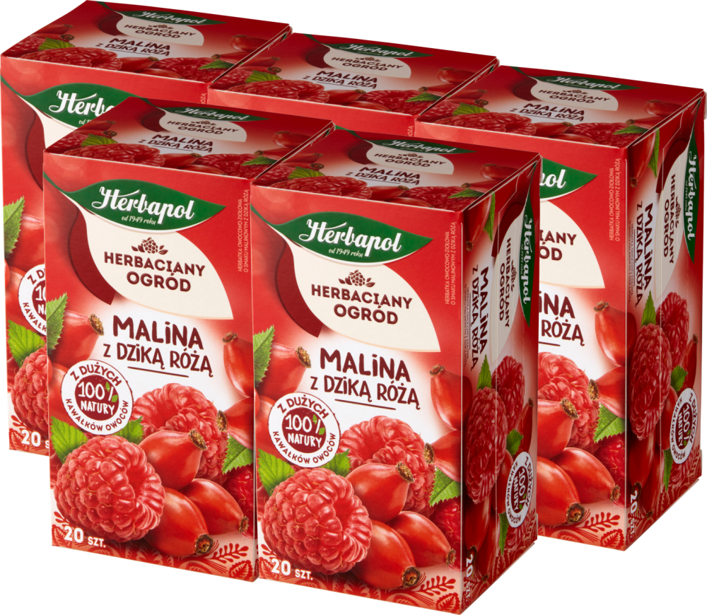 5x Herbata owocowa w torebkach Herbapol Herbaciany Ogród, malina z dziką różą, 20 sztuk x 2,7g