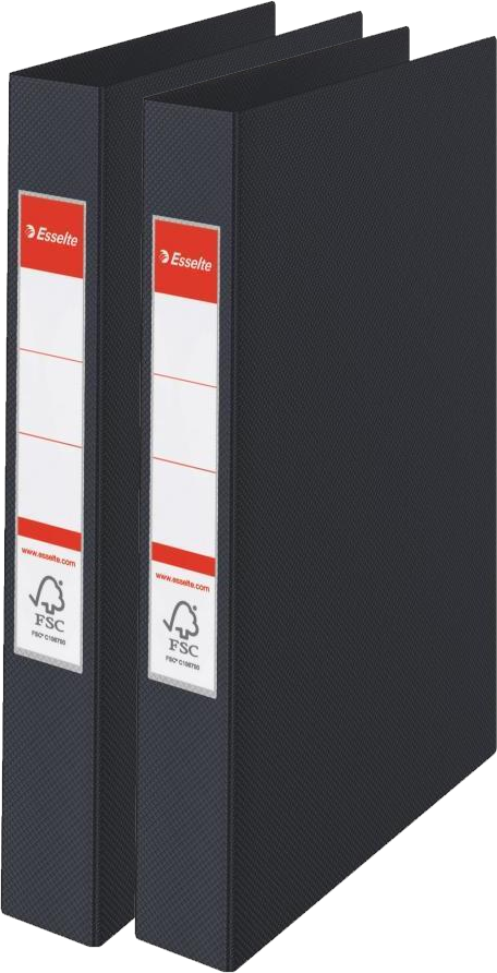 2x Segregator Esselte Vivida, A4, szerokość grzbietu 42mm, do 190 kartek, 2 ringi, czarny
