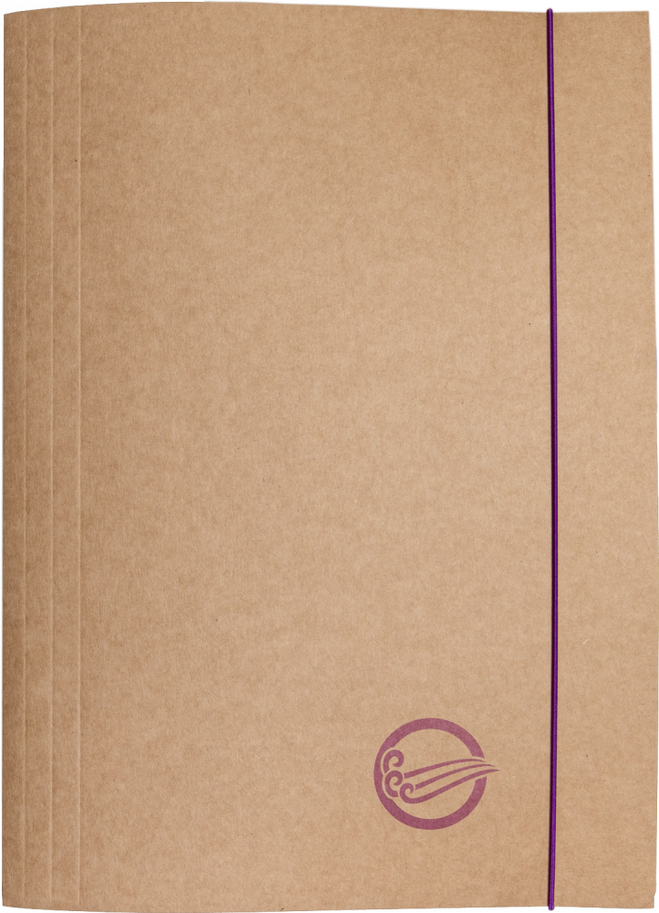 Teczka kartonowa z gumką Barbara Eco, A4+, 300g, powietrze