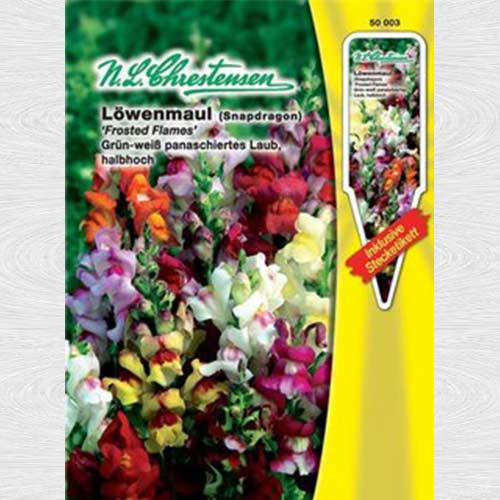 1 pac, Gura leului pitică Frosted Flames, mix multicolor - Semințe: Mod de ambalare: 1 pac
