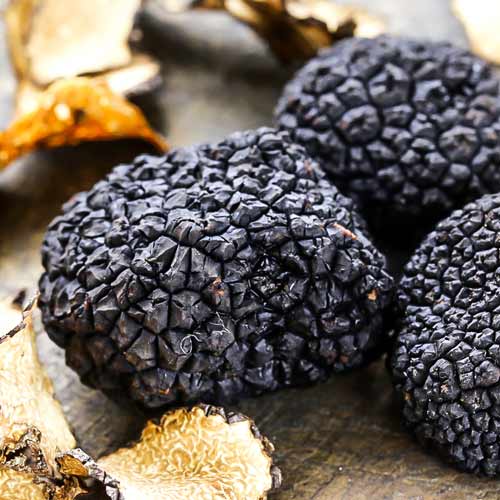 1 pac, Trufă neagră - : Mod de ambalare: 60 ml