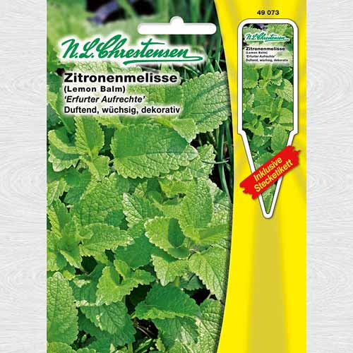 1 pac, Mentă lămâioasă - Semințe: Mod de ambalare: 1 pac