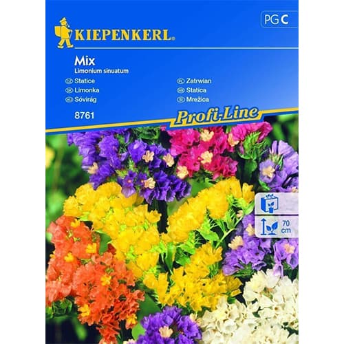 1 pac, Limonium sinuatum (Sărăturică) mix multicolor - Semințe: Mod de ambalare: 1 pac