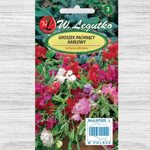 1 pac, Măzăriche pitică, mix multicolor Legutko - Semințe: Mod de ambalare: 3 g