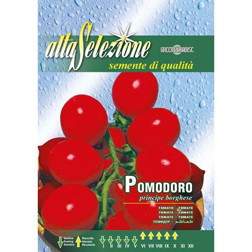 1 pac, Roșie Principe Borghese - Semințe: Mod de ambalare: 1 g