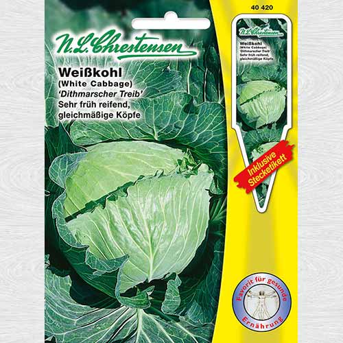 1 pac, Varză albă Dithmarscher Treib - Semințe: Mod de ambalare: 1 pac