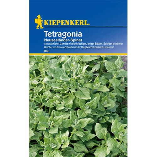 1 pac, Spanac Tetragonia - Semințe: Mod de ambalare: 1 pac