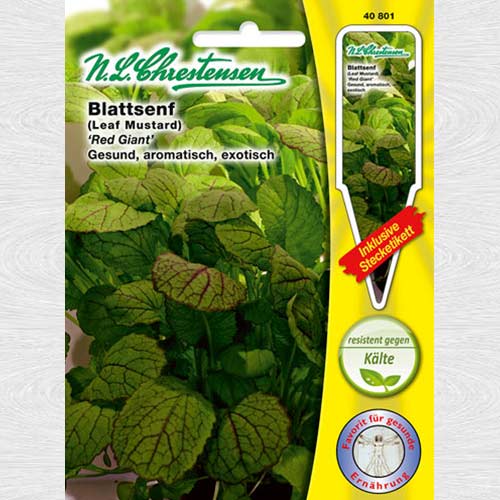 1 pac, Muștar Red Giant - Semințe: Mod de ambalare: 1 pac