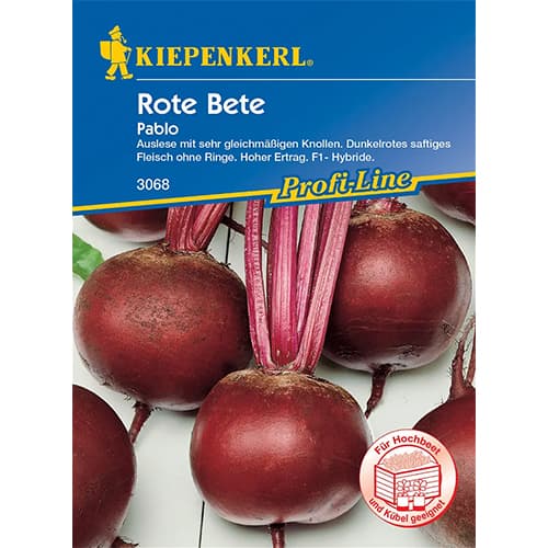 1 pac, Sfeclă Pablo F1 - Semințe: Mod de ambalare: 1 pac