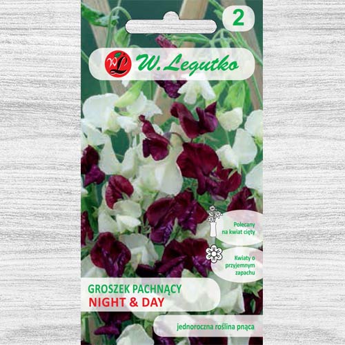 1 pac, Măzăriche Night & Day, mix multicolor Legutko - Semințe: Mod de ambalare: 3 g