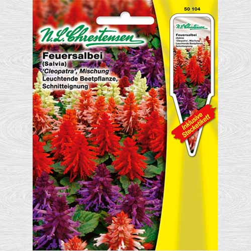 1 pac, Salvie roșie Cleopatra, mix multicolor - Semințe: Mod de ambalare: 1 pac