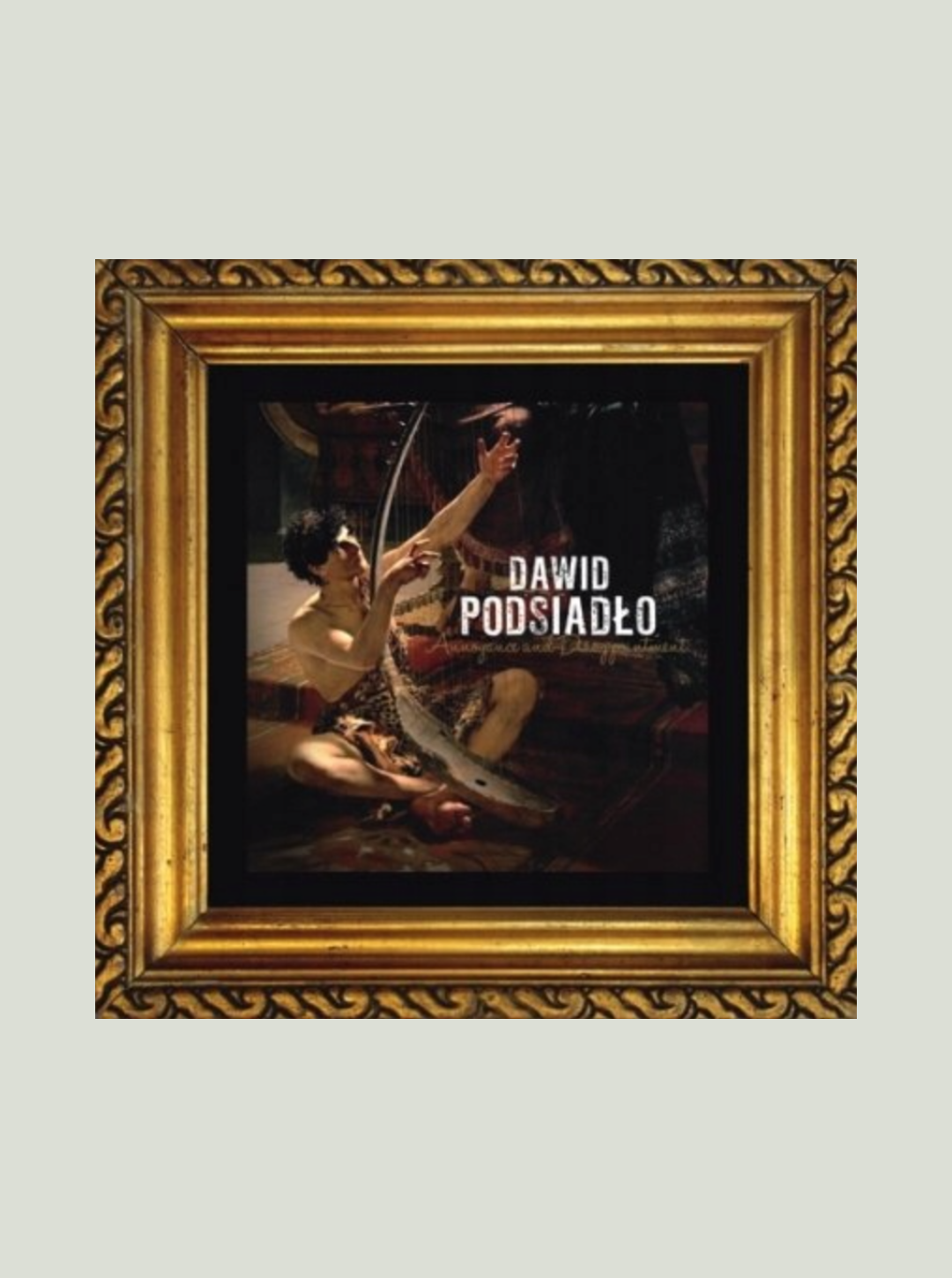 Płyta winylowa Dawid Podsiadlo - Annoyance and Disappointment