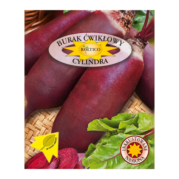 Nasiona Burak ćwikłowy Cylindra 10g