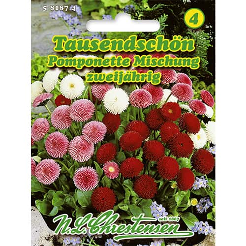 1 ob, Sedmikrásky Pomponette, směs druhů - : Monžstvo balíkov: 1 ob