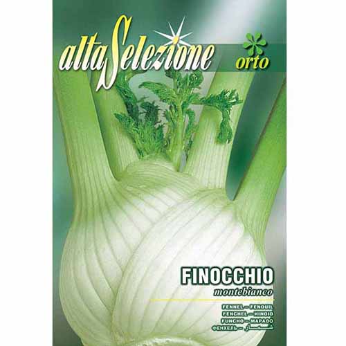 1 szt, Édeskömény Montebianco - Magok: Mod de ambalare: 1 db