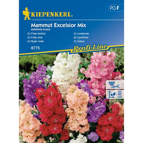 1 szt, Vajszínű ördögszem Mamut, színkeverék - Magok: Mod de ambalare: 1 db