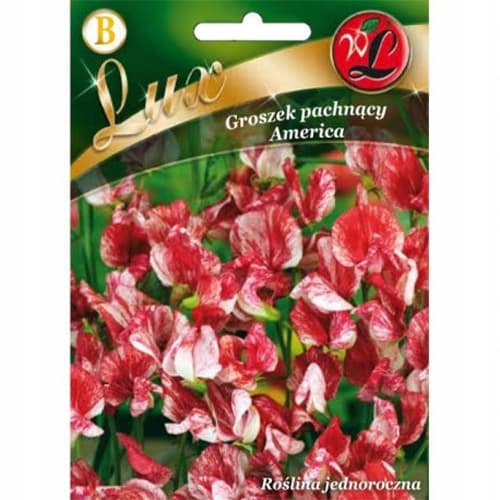 1 szt, Szagos bükköny (Lathyrus odoratus) America - Magok: Mod de ambalare: 5 g