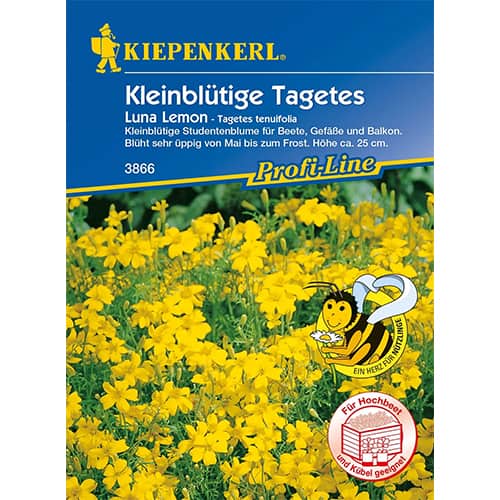 1 szt, Tagetes Luna Lemon - Samen: Ilość w opakowaniu: 1 Stück