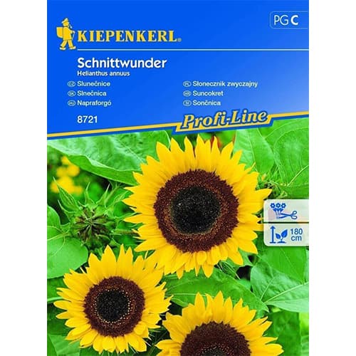 1 szt, Sonnenblume Schnittwunder Kiepenkerl - Samen: Ilość w opakowaniu: 1 Stück