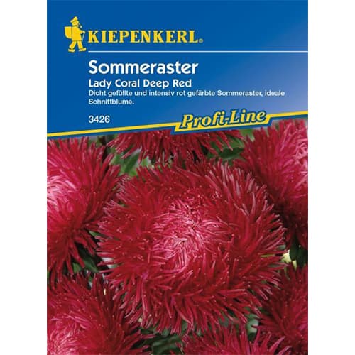 1 szt, Sommeraster Lady Coral Deep Red - Samen: Ilość w opakowaniu: 1 Stück
