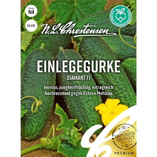 1 szt, Einlegegurke Diamant F1 - Samen: Ilość w opakowaniu: 1 Stück