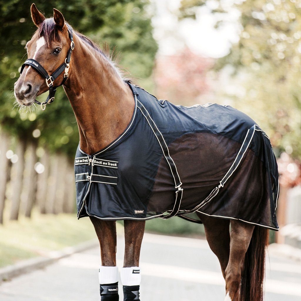 Back on Track derka osuszająca Sienna