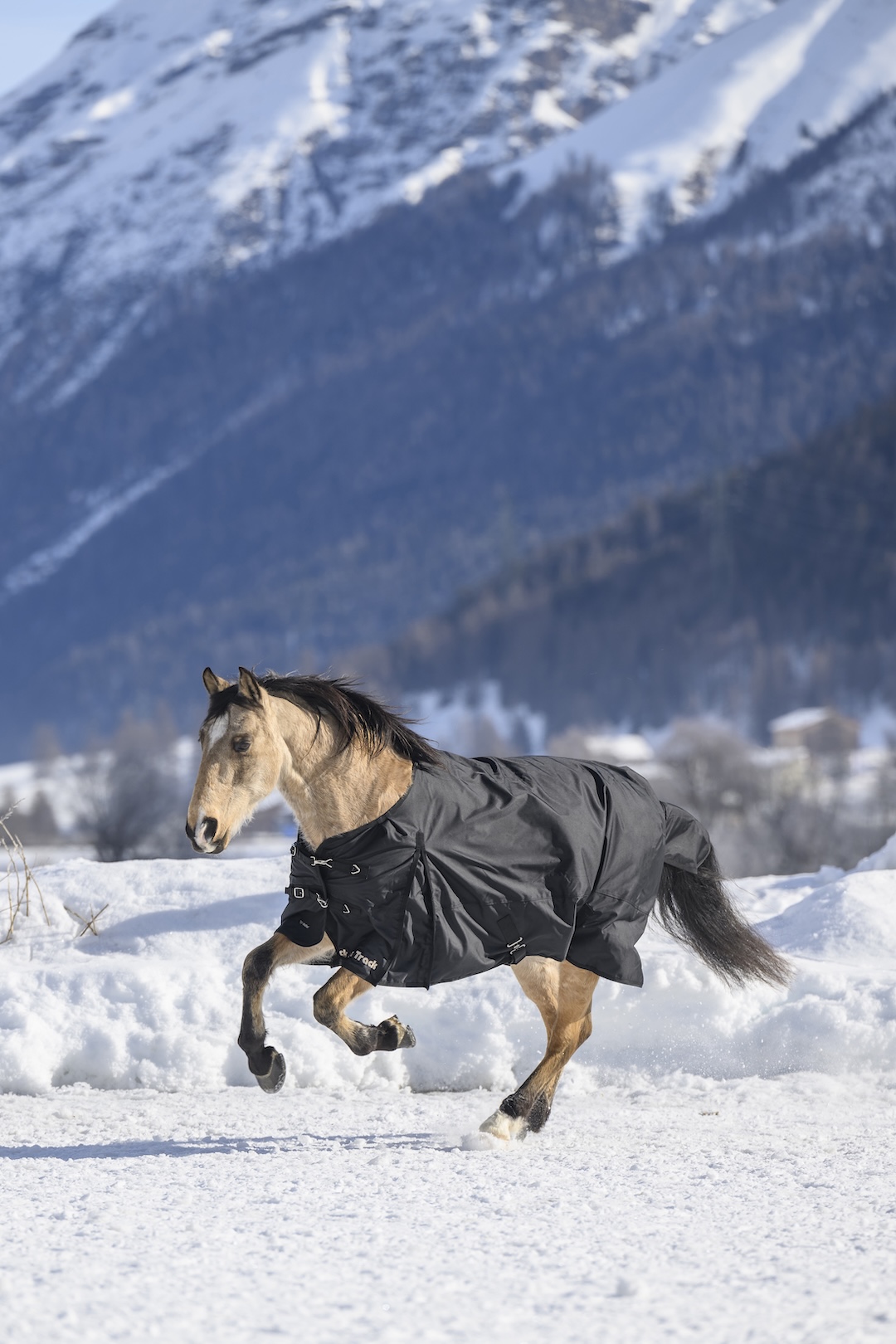 Back on Track derka padokowa przeciwdeszczowa 1680D 0g