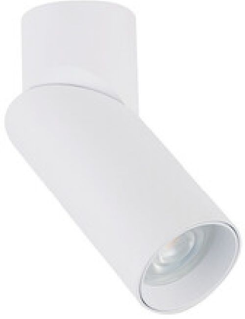 Nowodvorski Lighting India lampa podsufitowa 1x15 W biała 7858