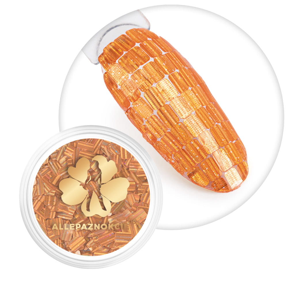Ozdoba do paznokci Hologram Secret Allepaznokcie Nr 03
