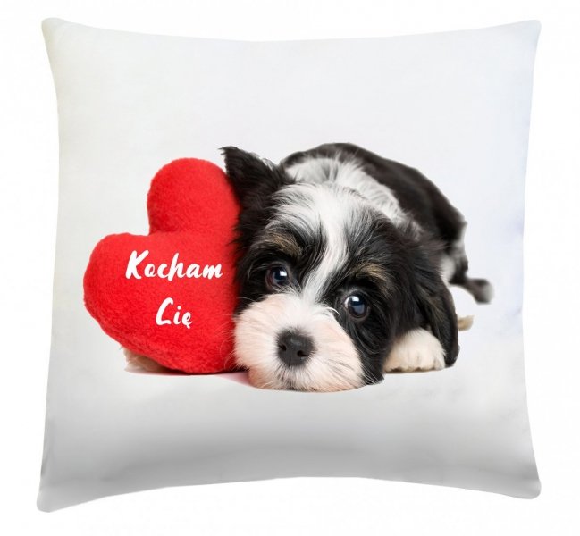 Poduszka na Walentynki 40x40 wz. w10