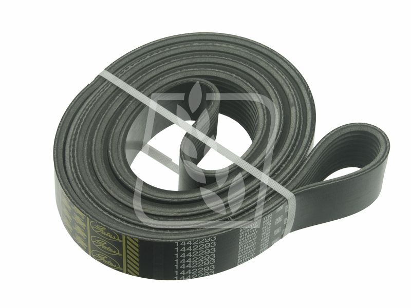 Pas wielorowkowy 067289 9K x 2876