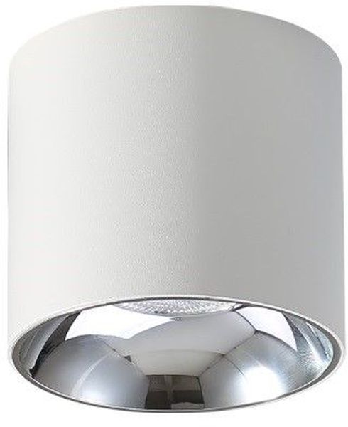 Darmowa Dostawa - Lampa podsufitowa Abigali Vaiolett DL10WNW