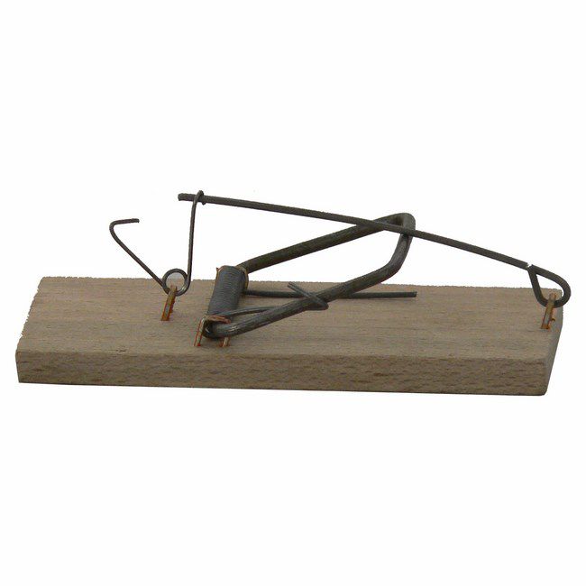 Łapka na myszy drewniana