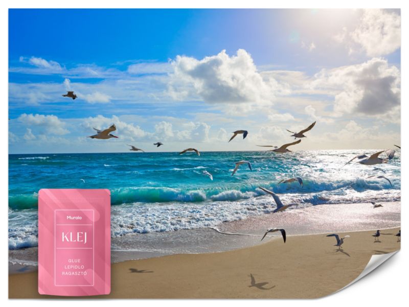 Fototapeta Muralo Słoneczna Plaża Krajobraz 450x315 cm 1szt.